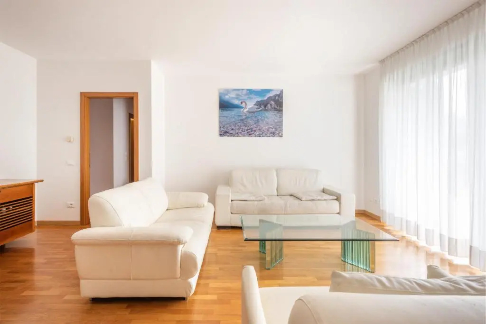 Modern and Elegant Apartments