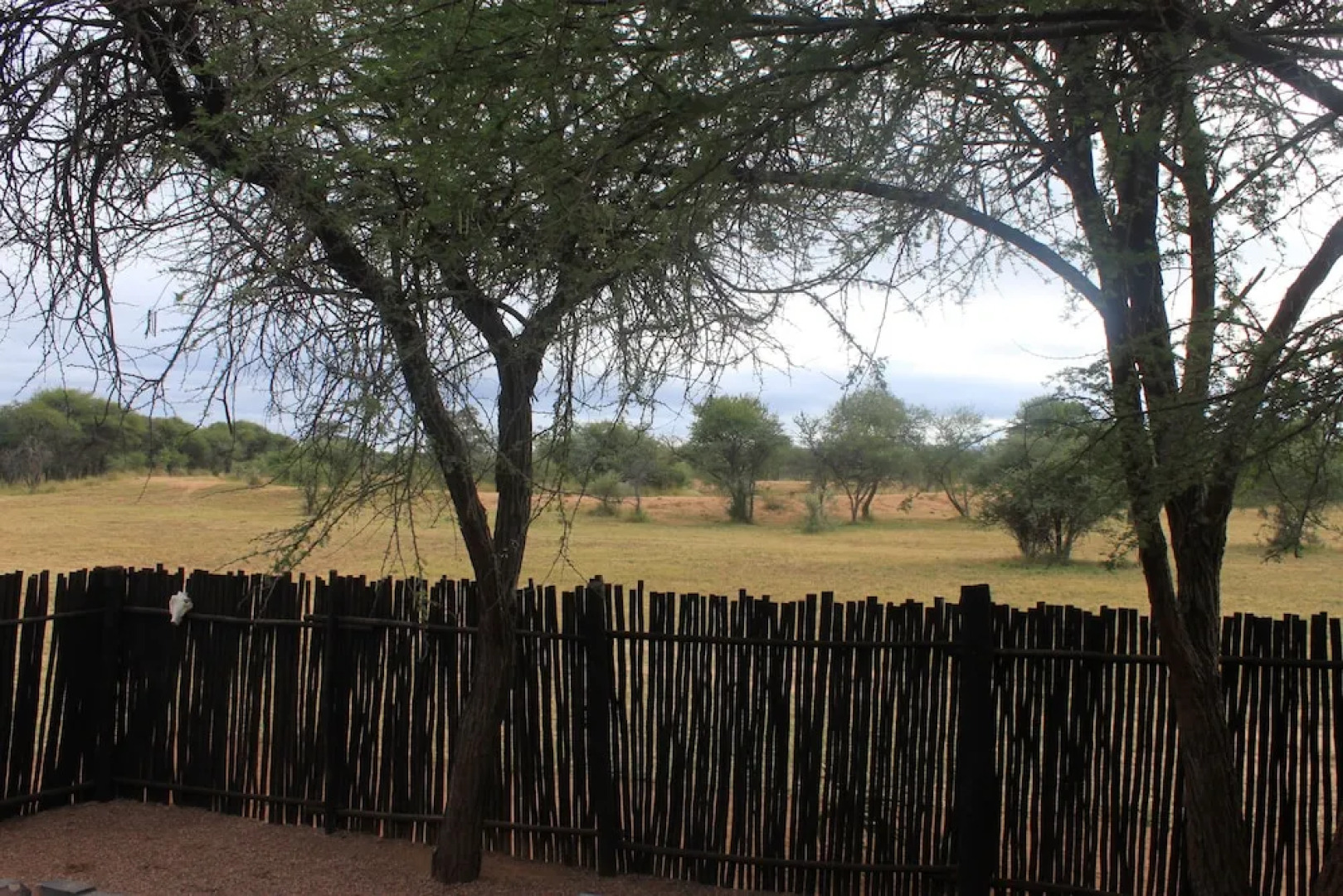 Grootgeluk Bush Camp
