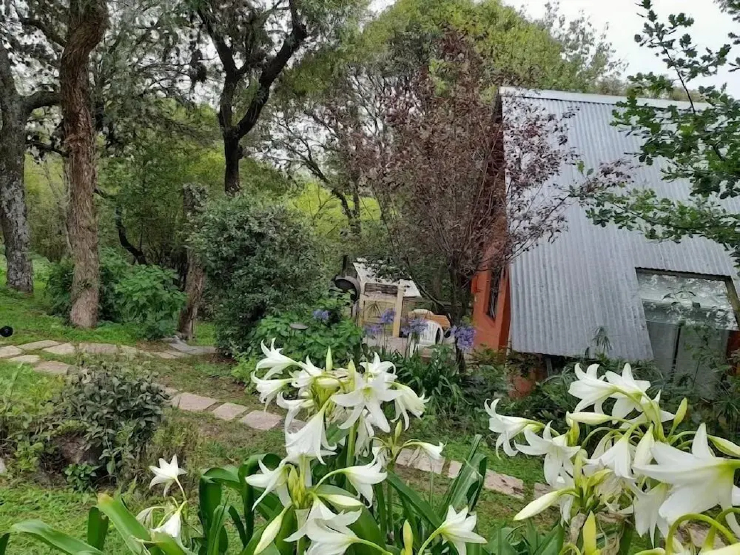 Apart Suites & Cabañas Duendes del Pungo