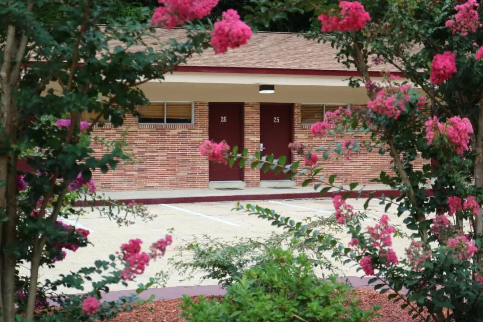 University Motel and Suites