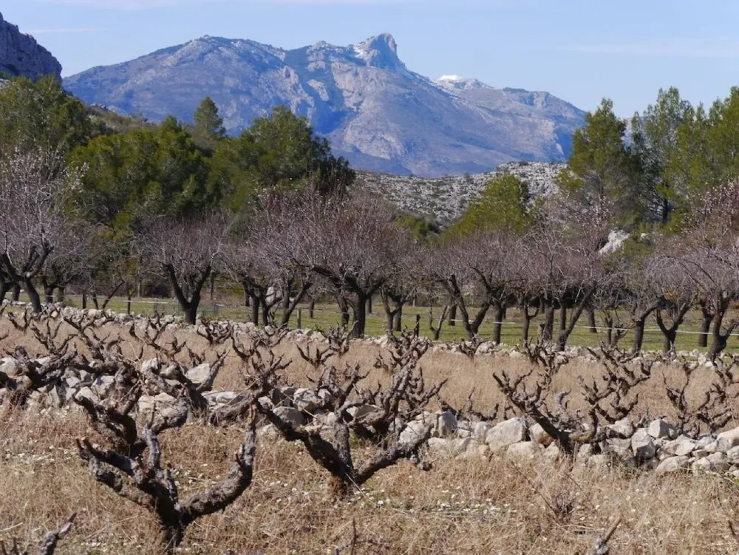 Casa Rural Villa da Marta - Adults Only