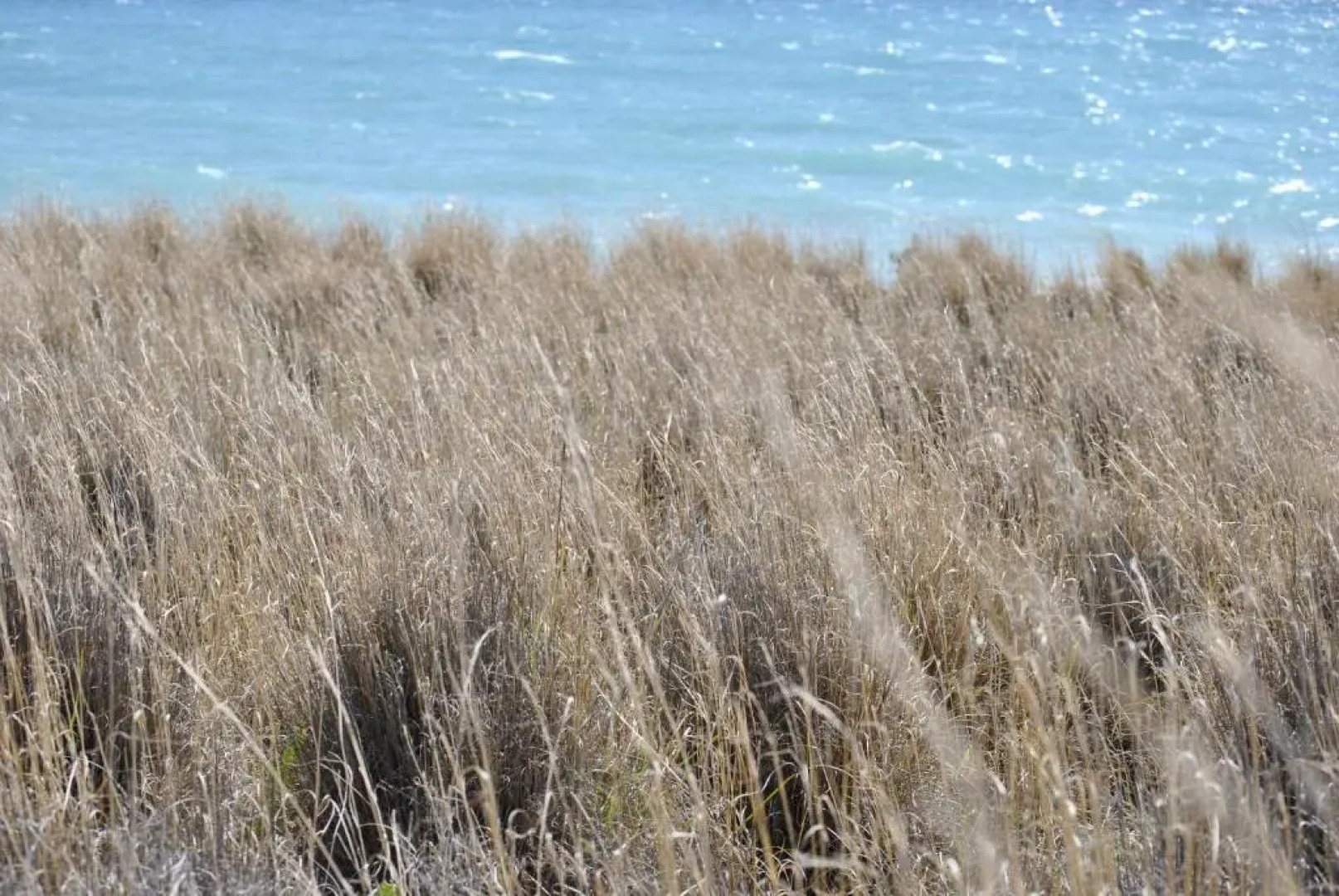 Chouzourakis Studios