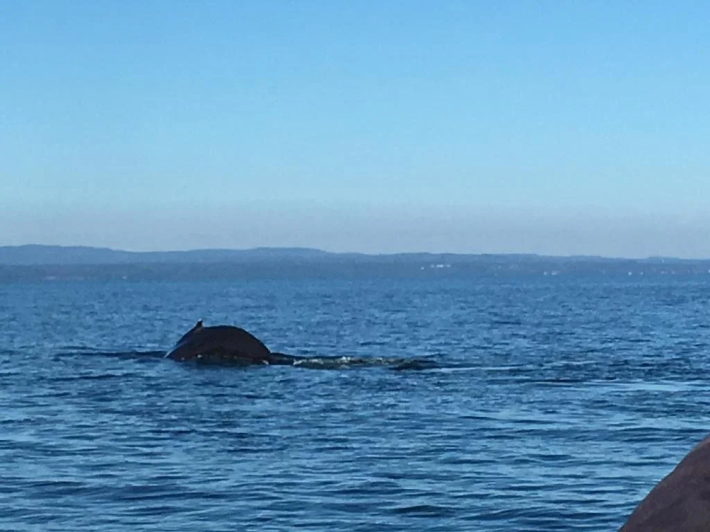 Maison De La Vieille Cote