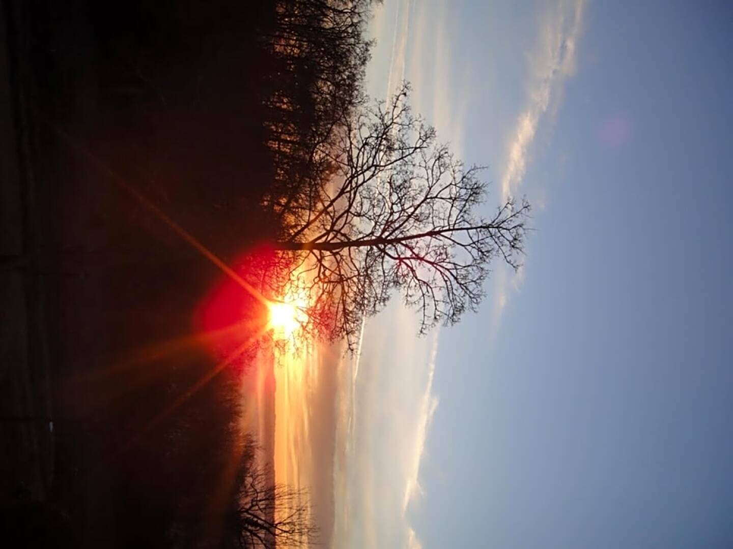 Chambres dHôtes Château de Bellevue