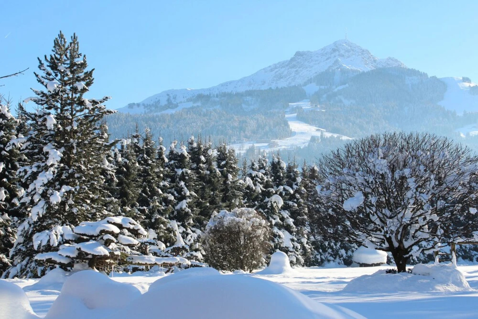 Luxury Apartment Schoenbichl