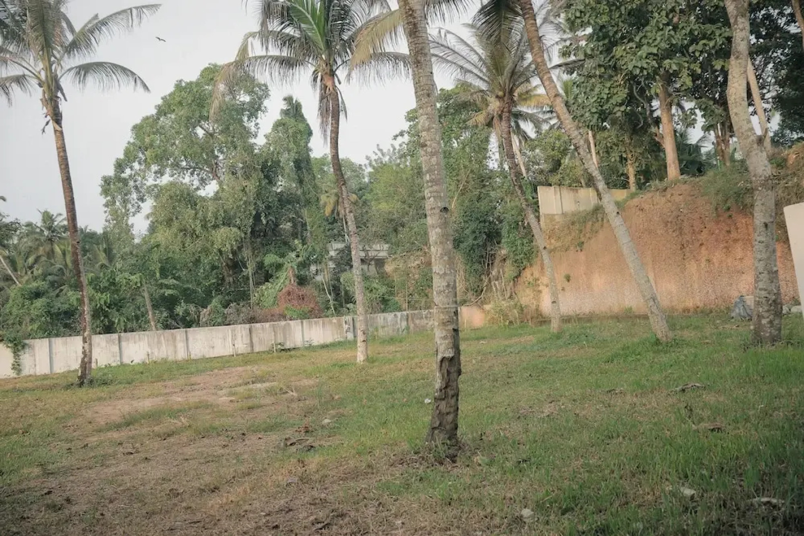 Ripples Backwater Resort