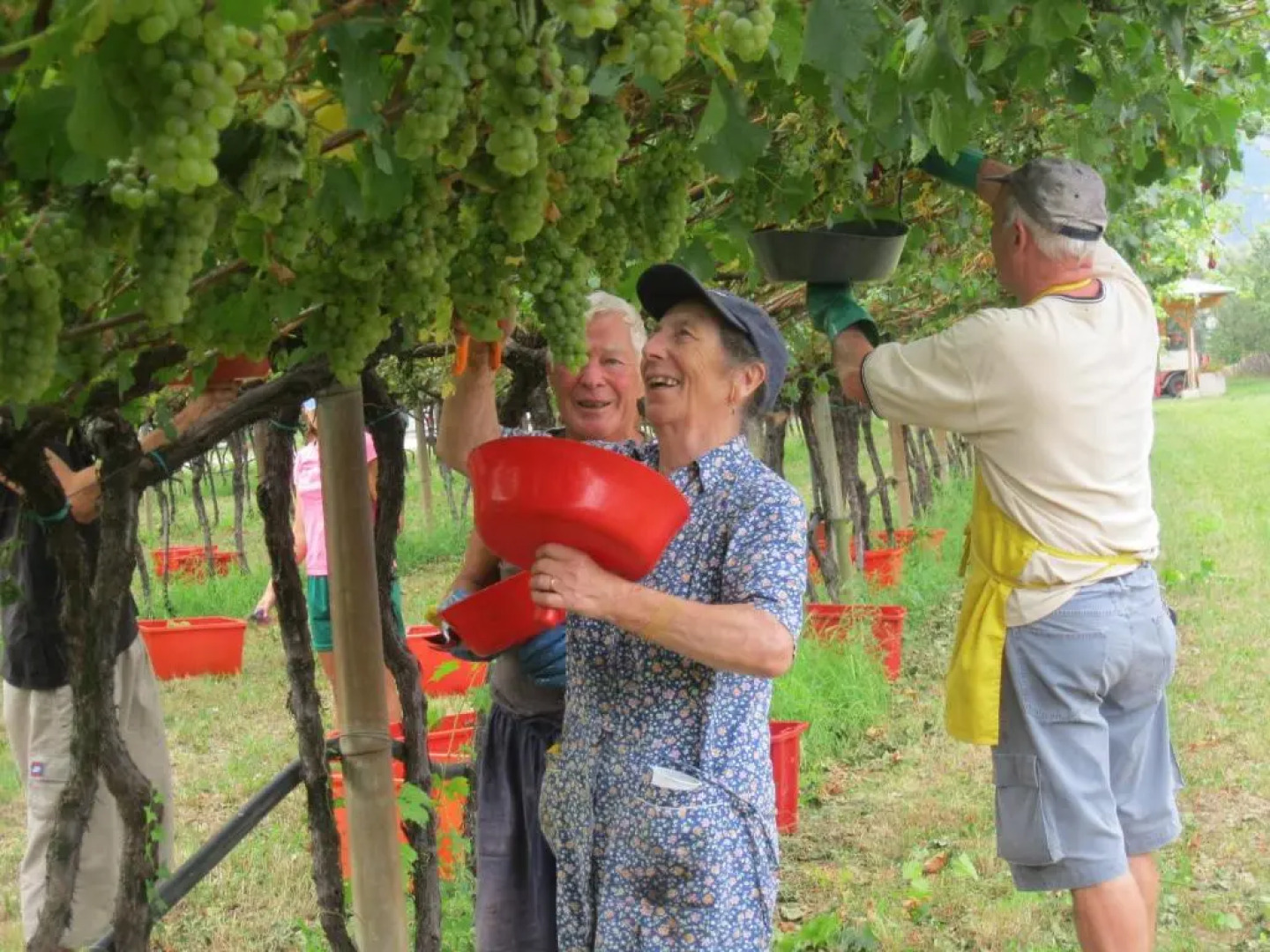 Residence La Colombera