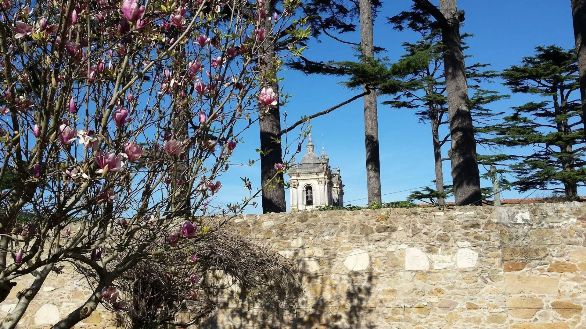 Solar da Cerca do Mosteiro