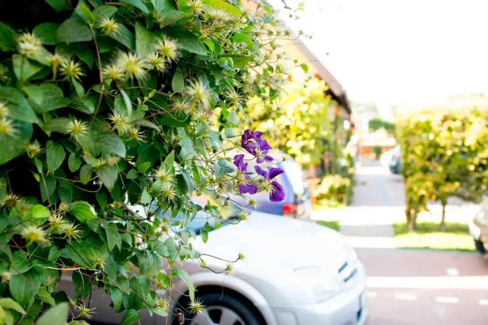 Ośrodek Wypoczynkowy Klif I