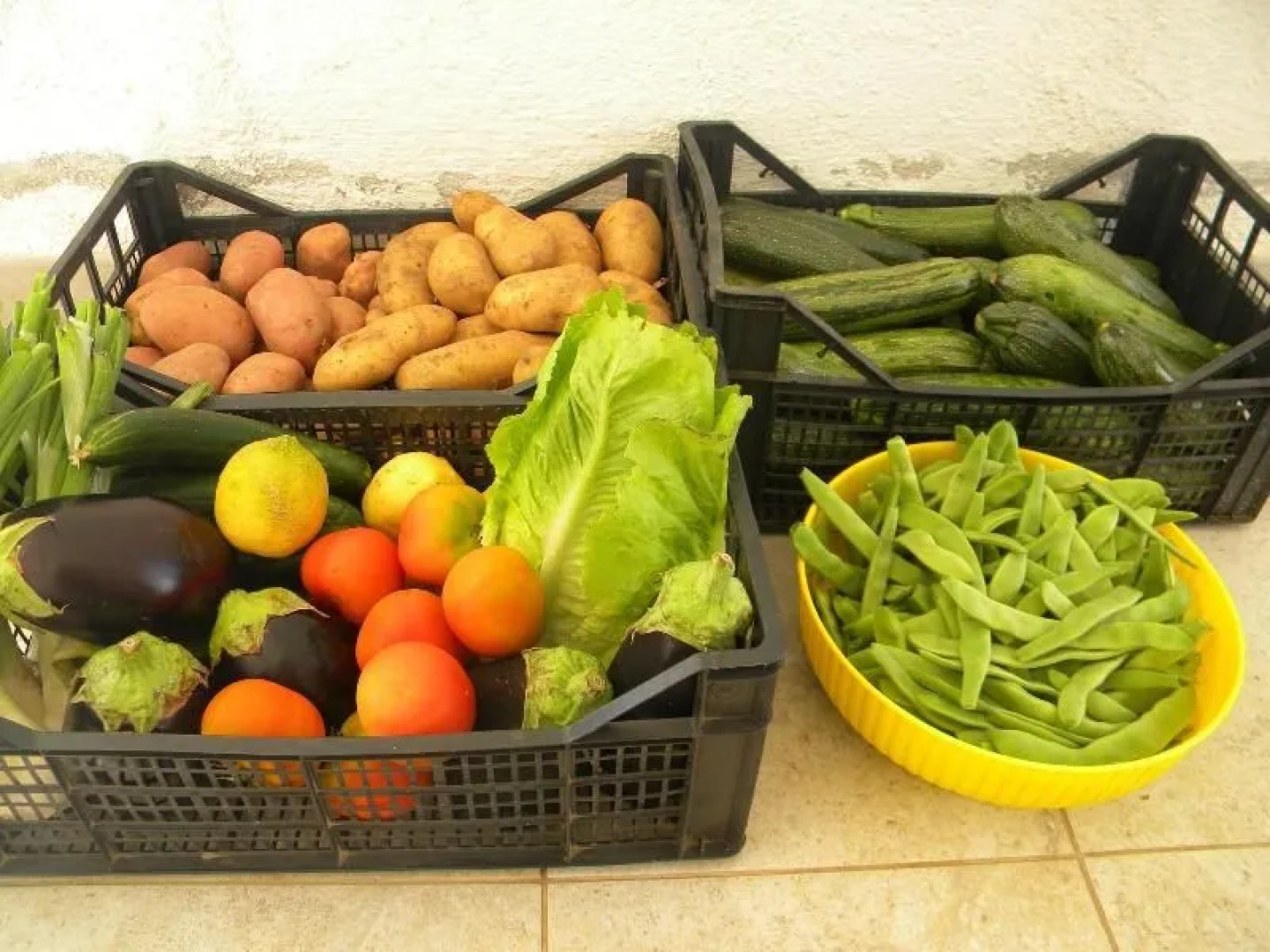 Agriturismo Sa Conca Ruia