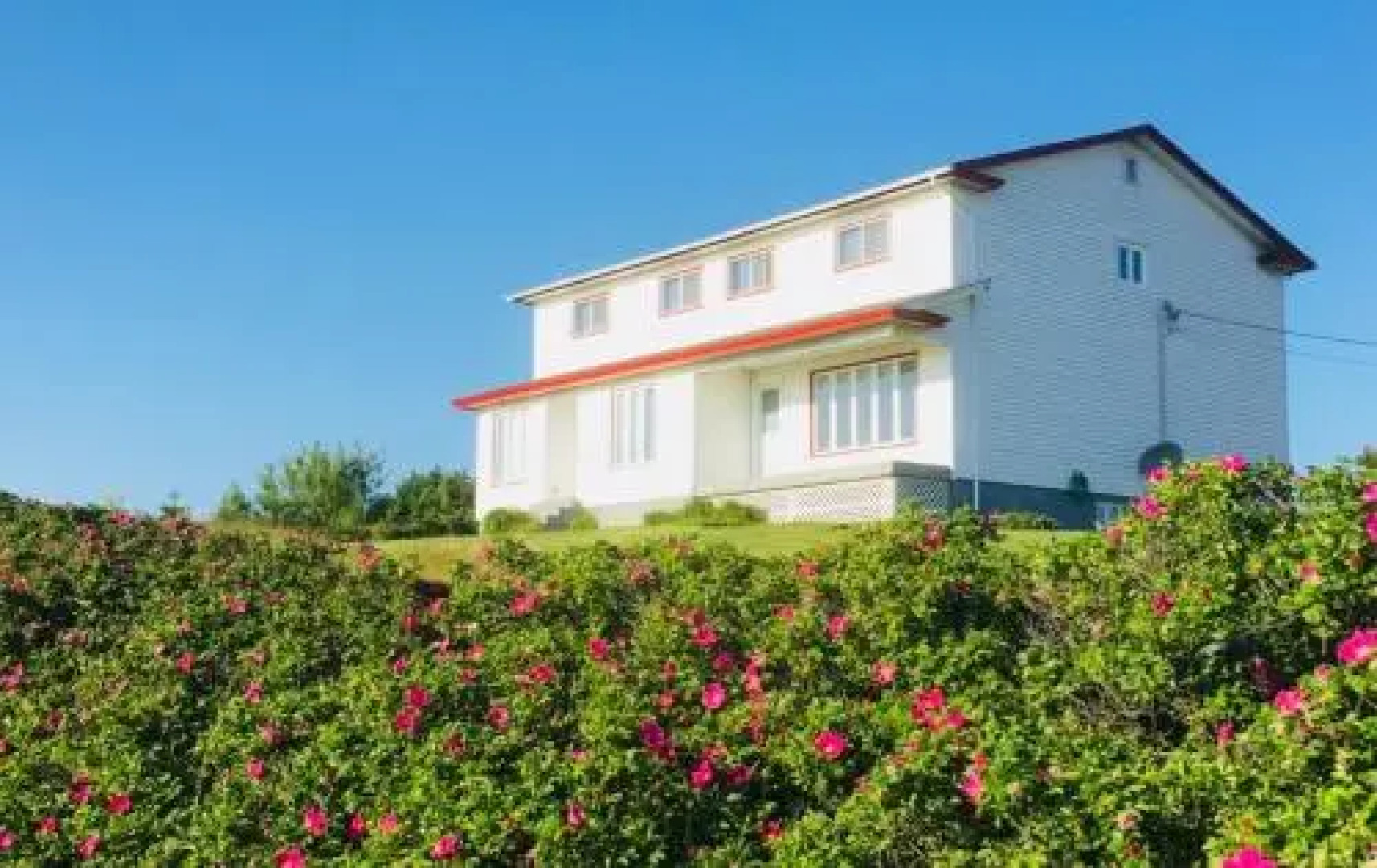 The Convent Guesthouse