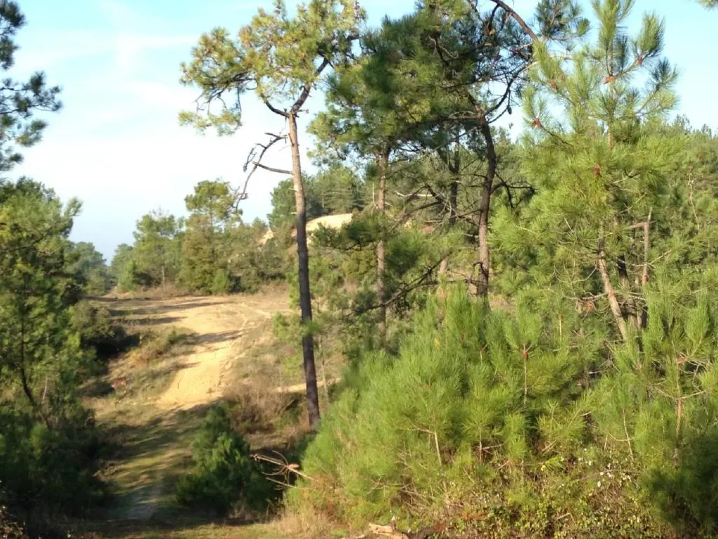 Les Appartements du 104