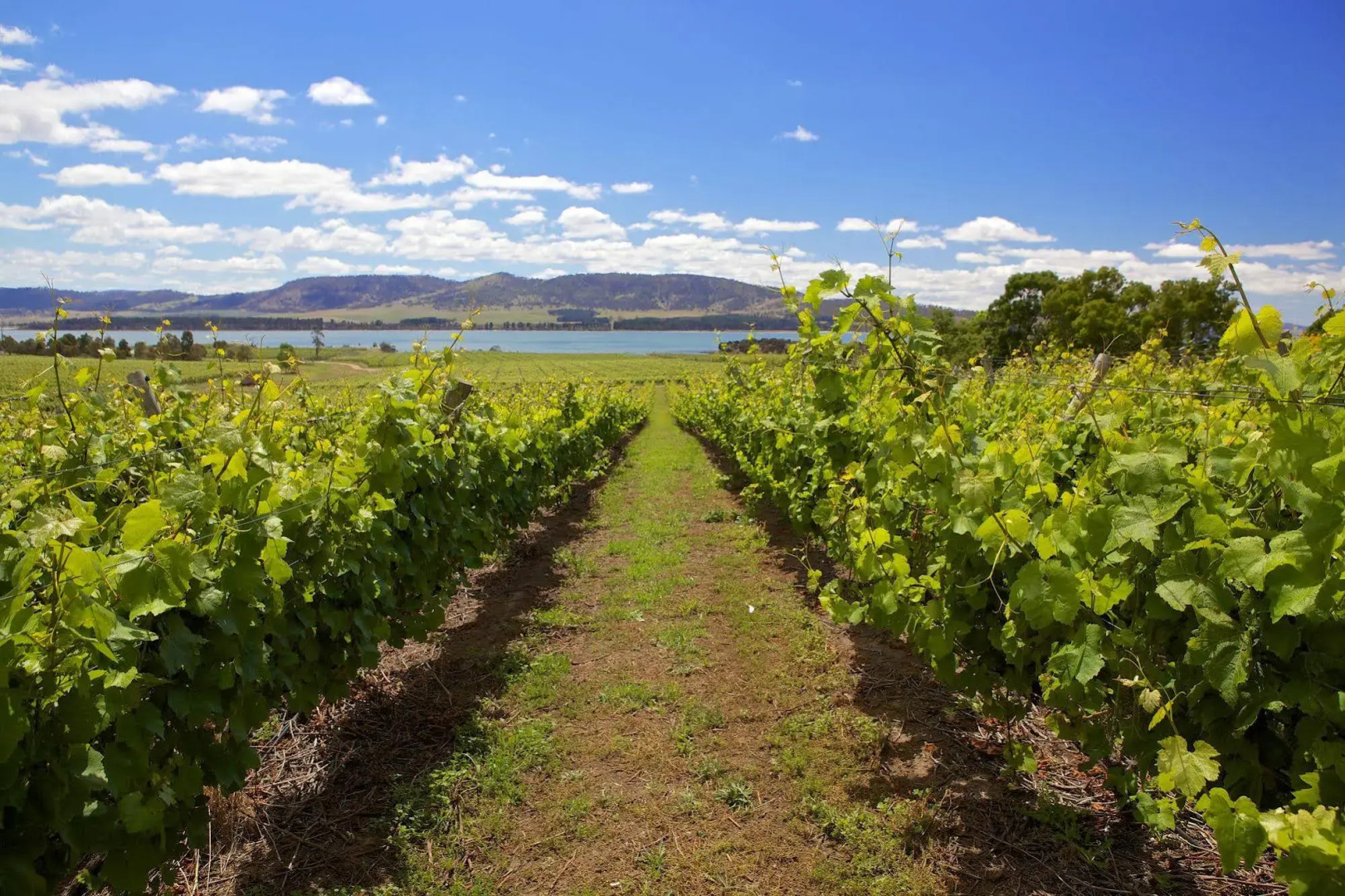 Riversdale Estate Cottages