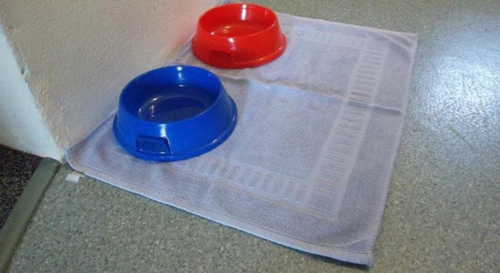 Kinka Palms Beachfront Apartments / Motel