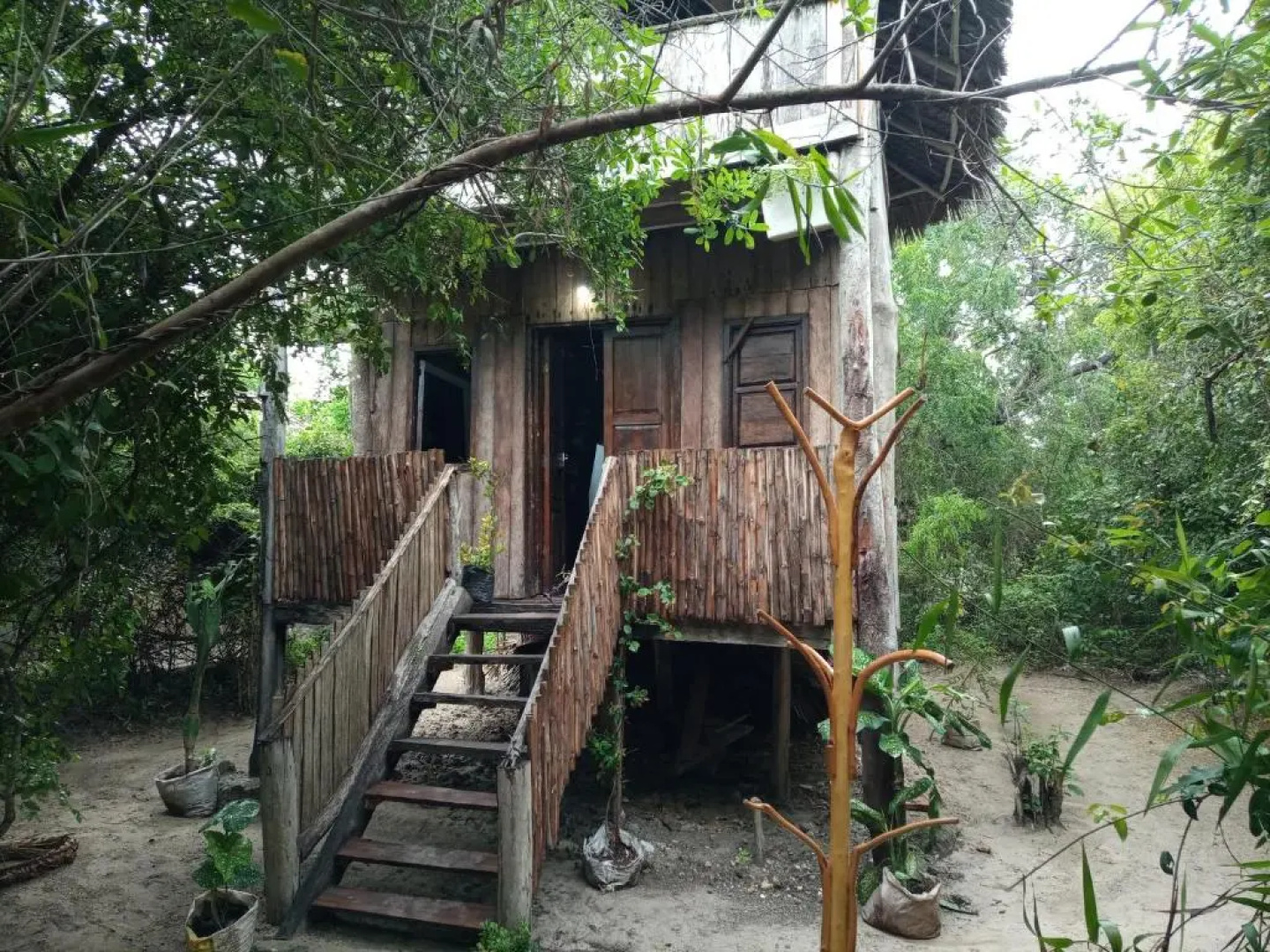 Mida Creek Eco Camp