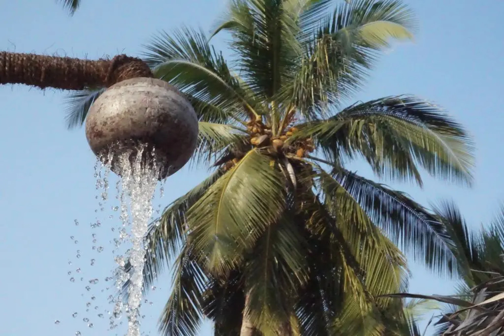 Valampuri Kite Resort