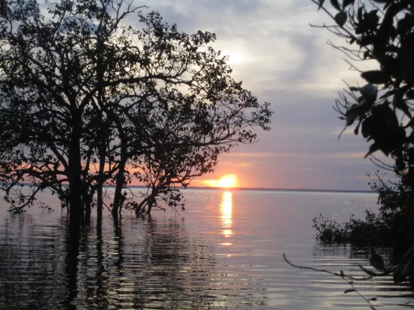 Hostel Pousada do Tapajós