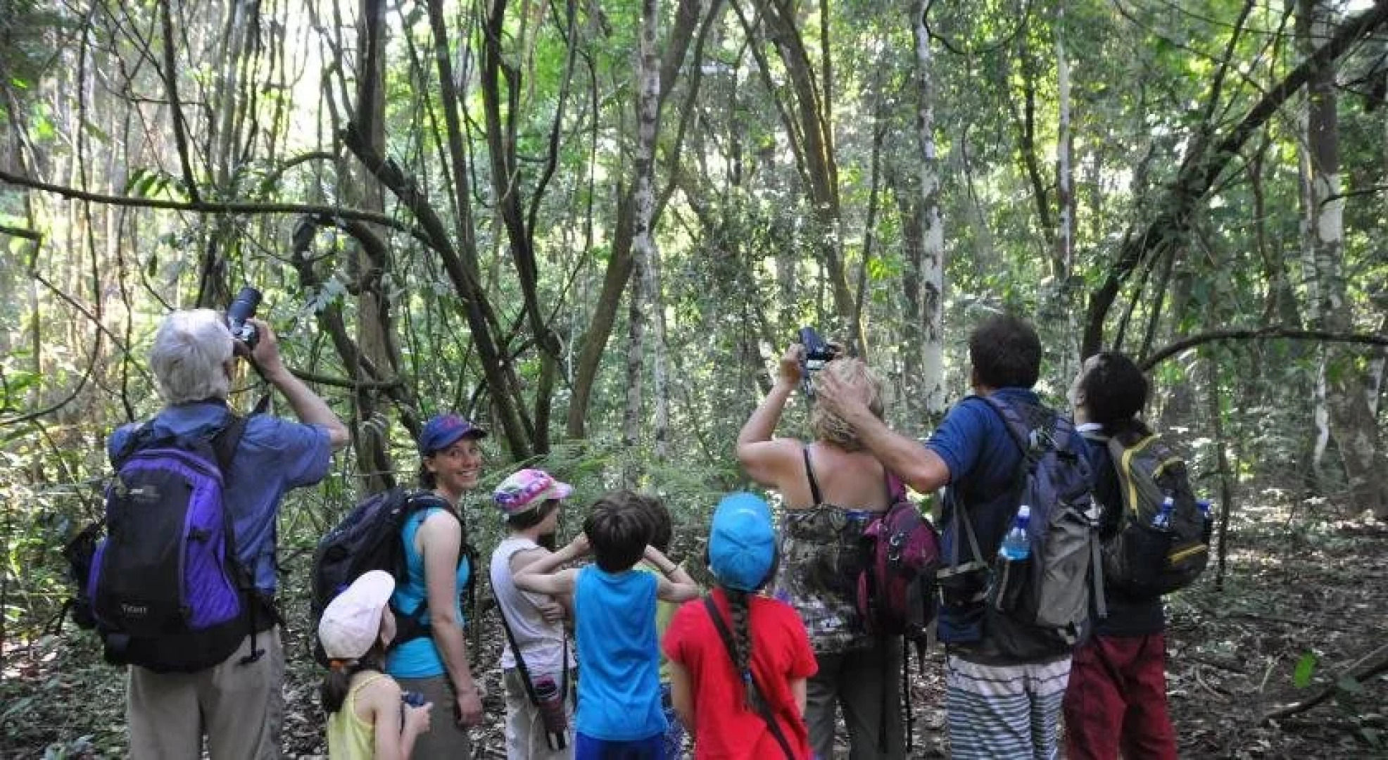 Cabinas Pura Vida Bed & Breakfast