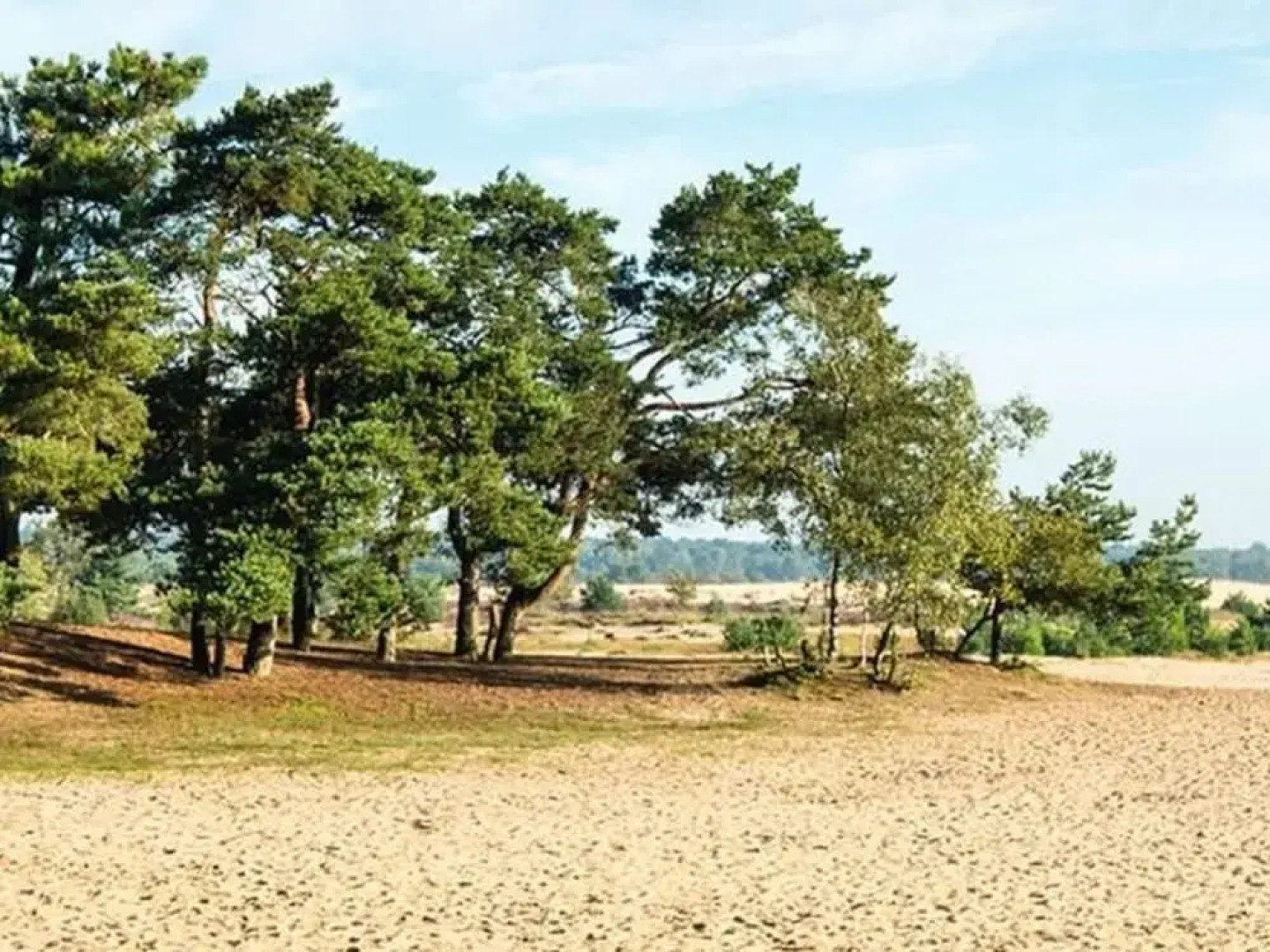 Holiday Home Near the Efteling With Garden
