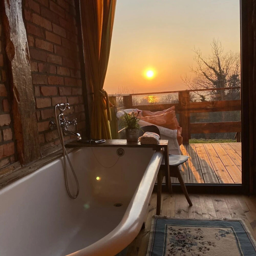 Ptasia Osada Domek Puszczyk