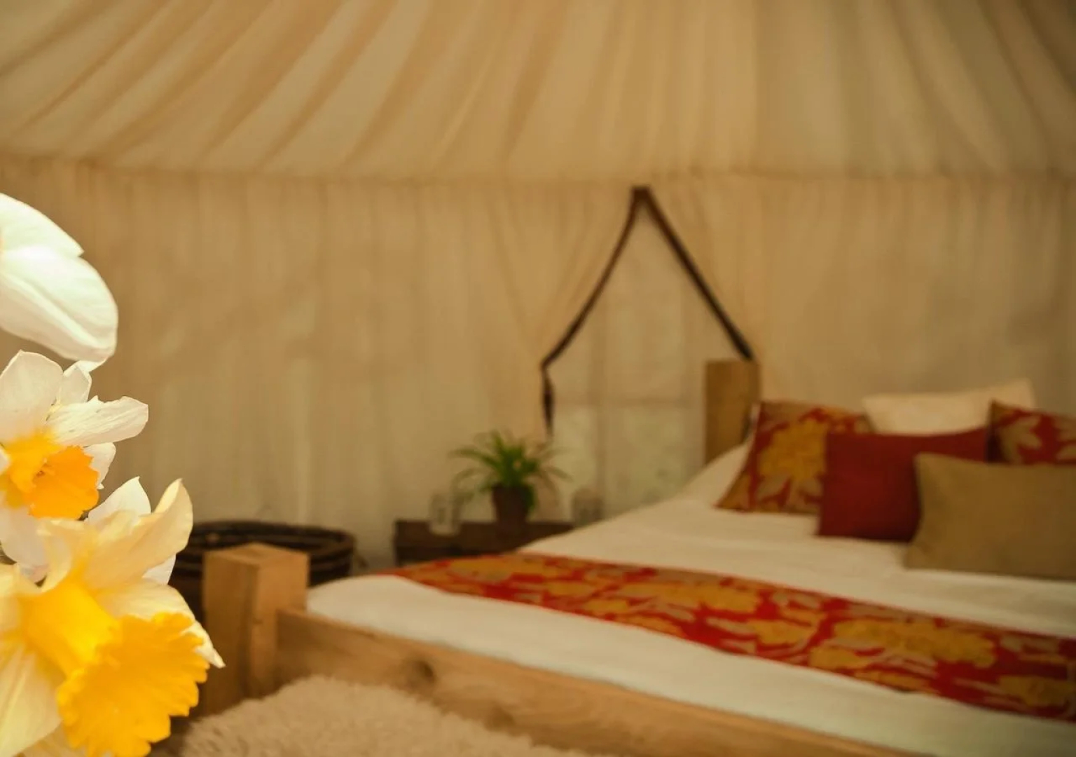 Plush Tents Glamping
