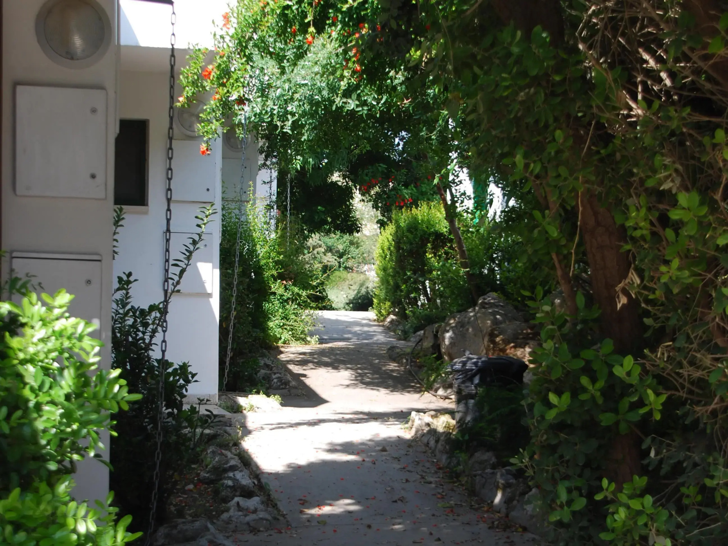 Neve Shalom