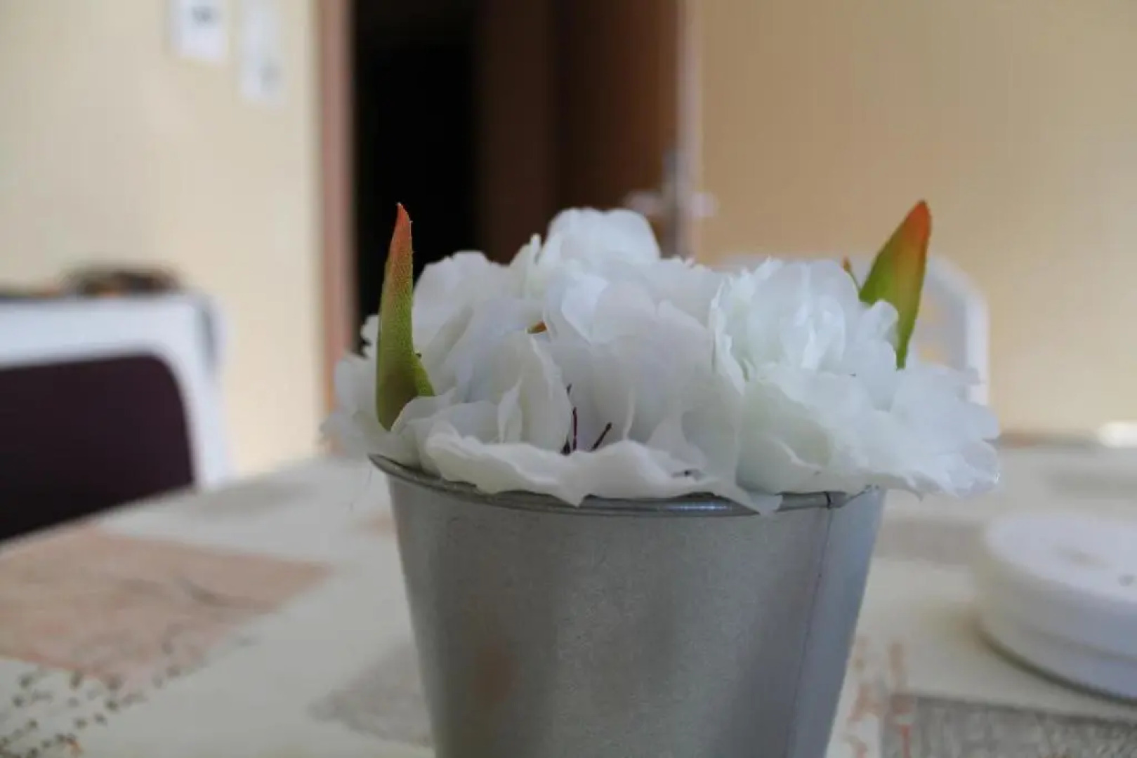 Kirschbaum Apartment