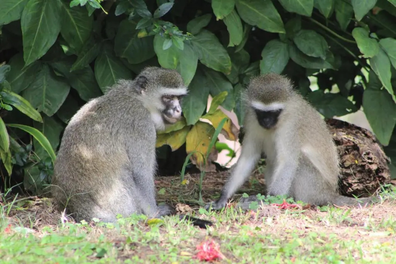 The Little Round House