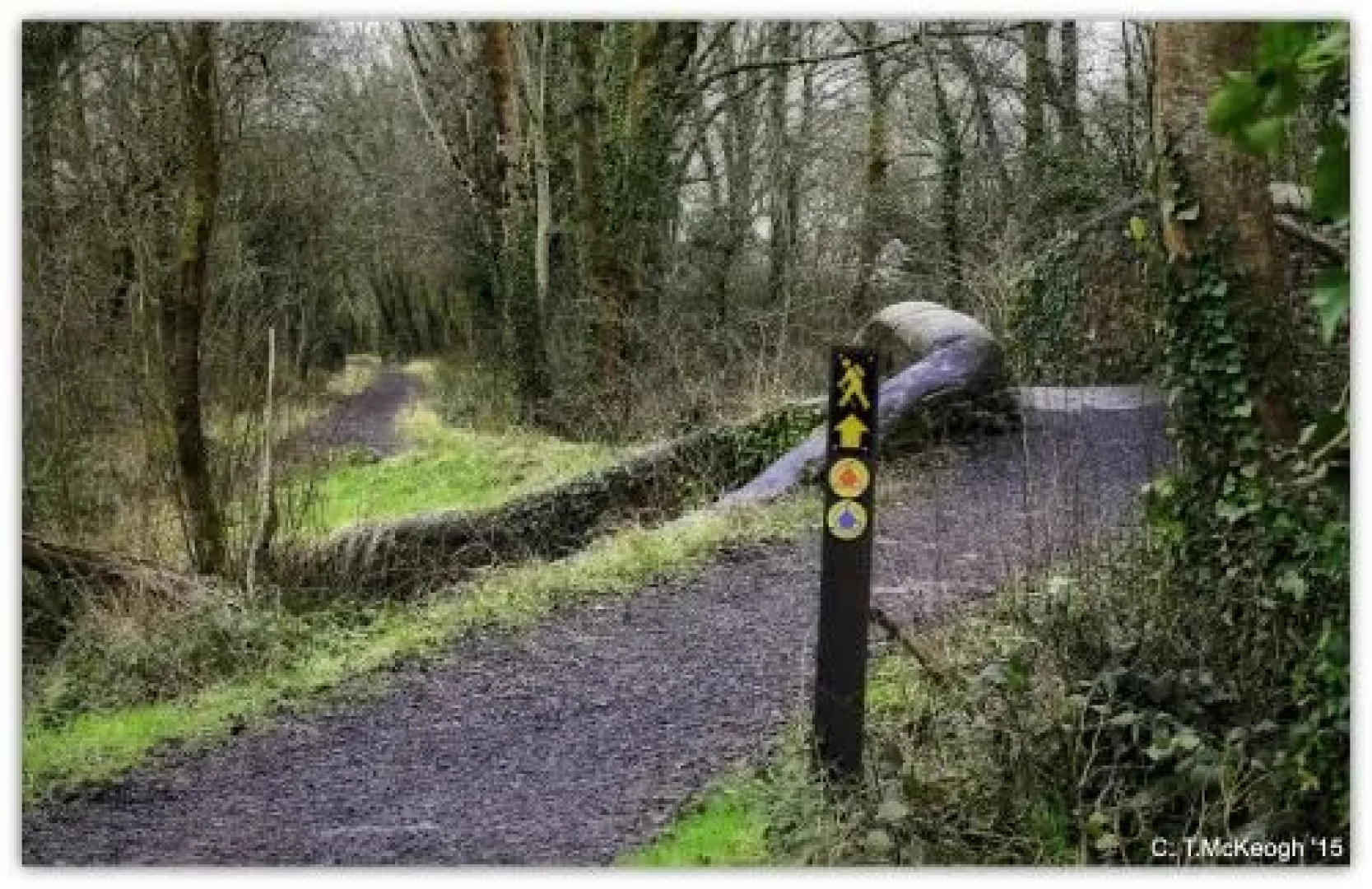 Willowbrook Bed & Breakfast