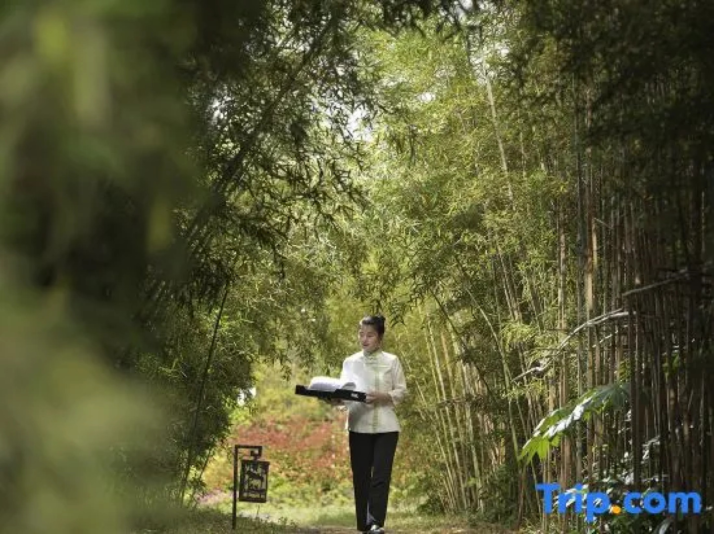 Song Hotel Wuxi Xuelang