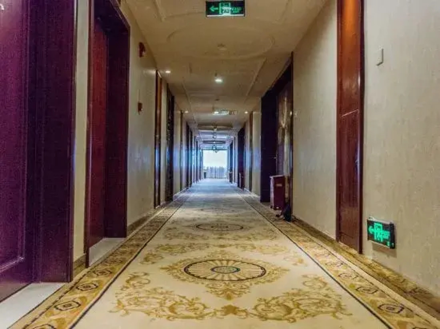 Vienna Hotel (Jishou Railway Station)