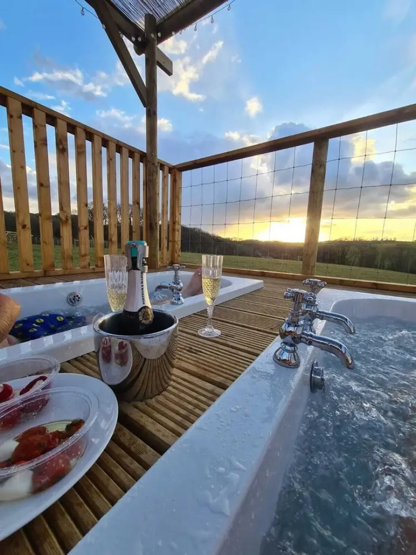 Luxury Safari Lodge Surrounded by Deer!! 'fallow'