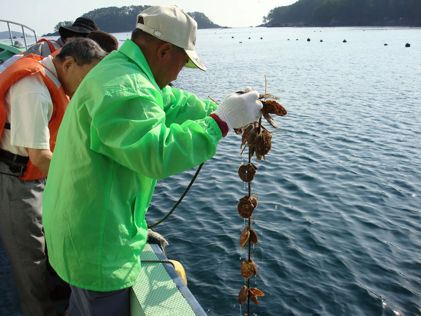Kyukamura Kesennuma-Ohshima