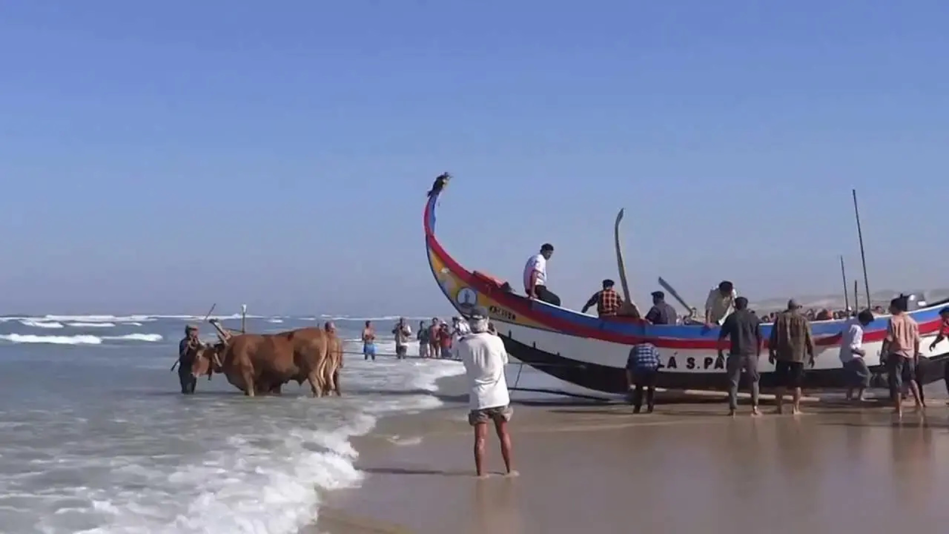 Casa dos Amigos - A luxury home in the nature