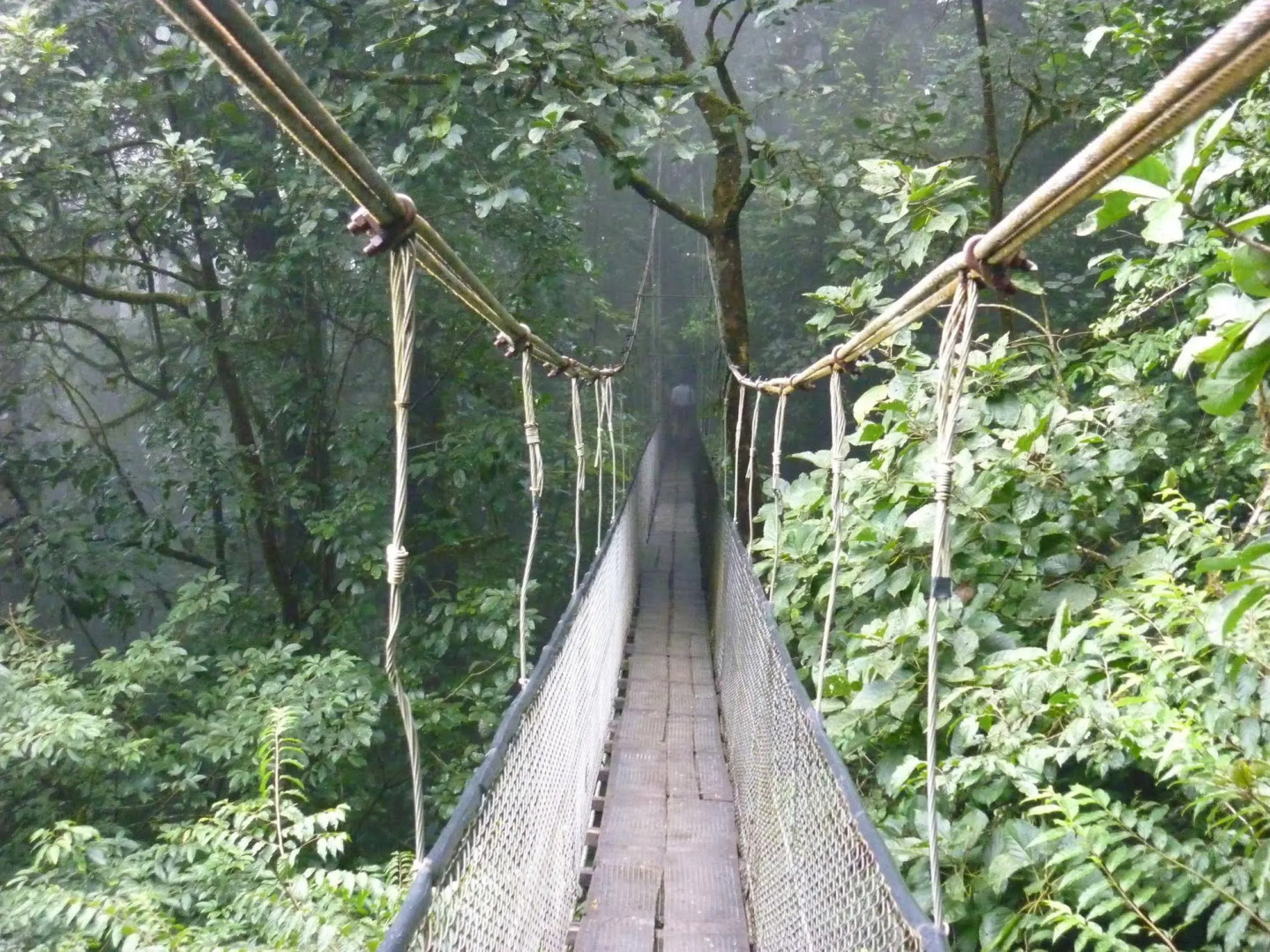 Heliconias Lodge and Rainforest