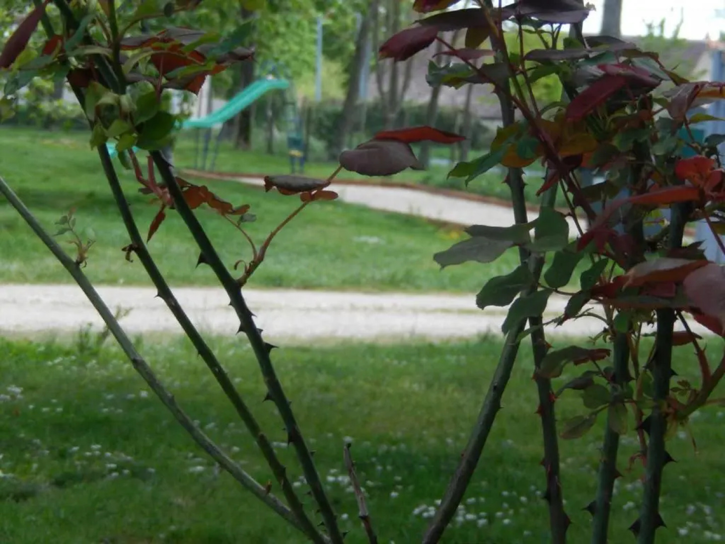 Gîte Couddes, 3 pièces, 6 personnes - FR-1-491-298