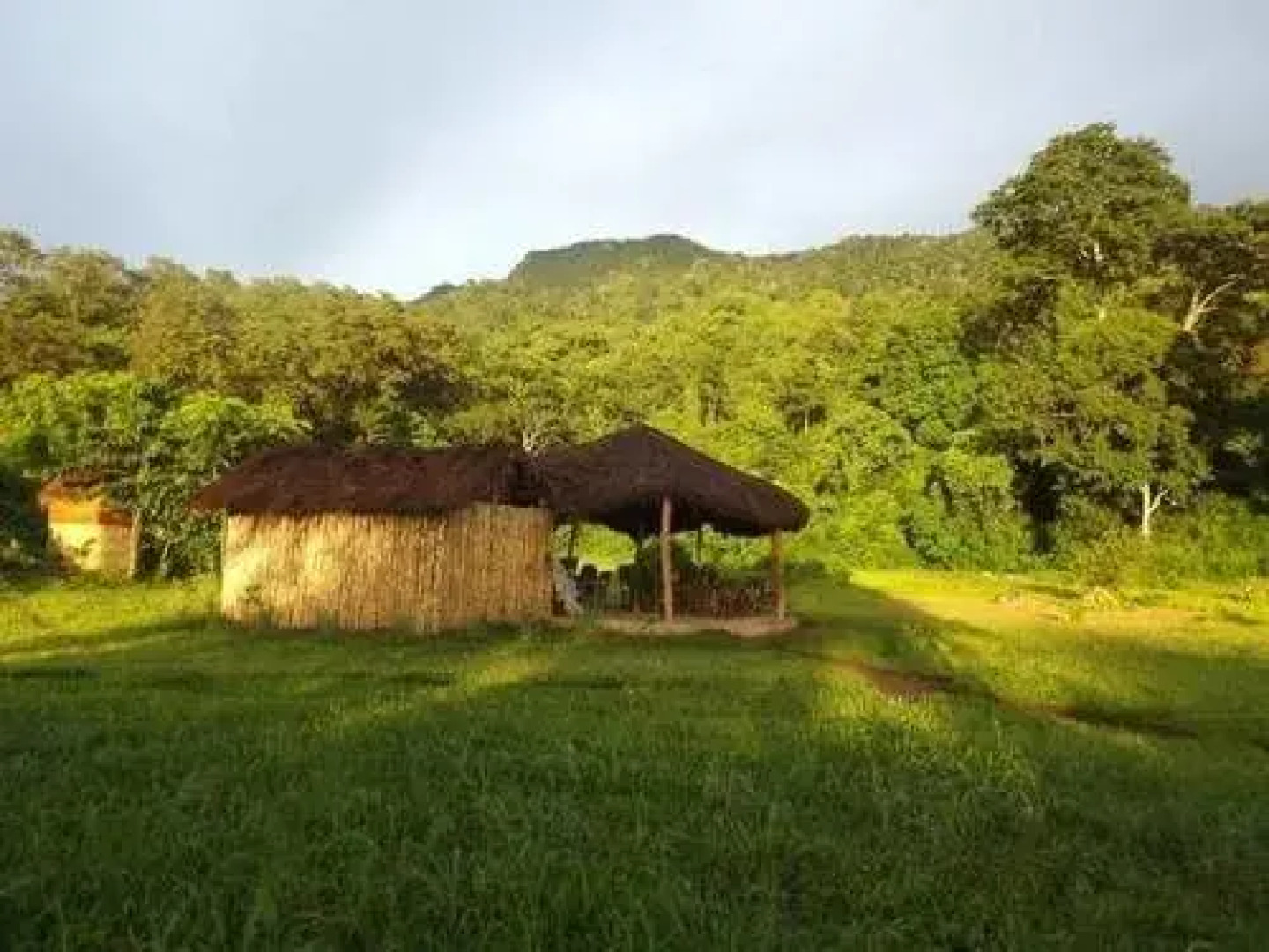Udzungwa Forest Tented Camp