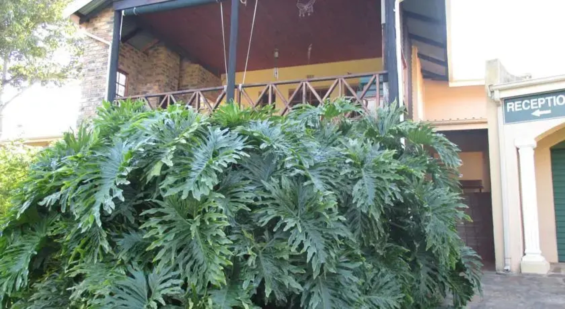 Thaba Tsweni Lodge & Safaris