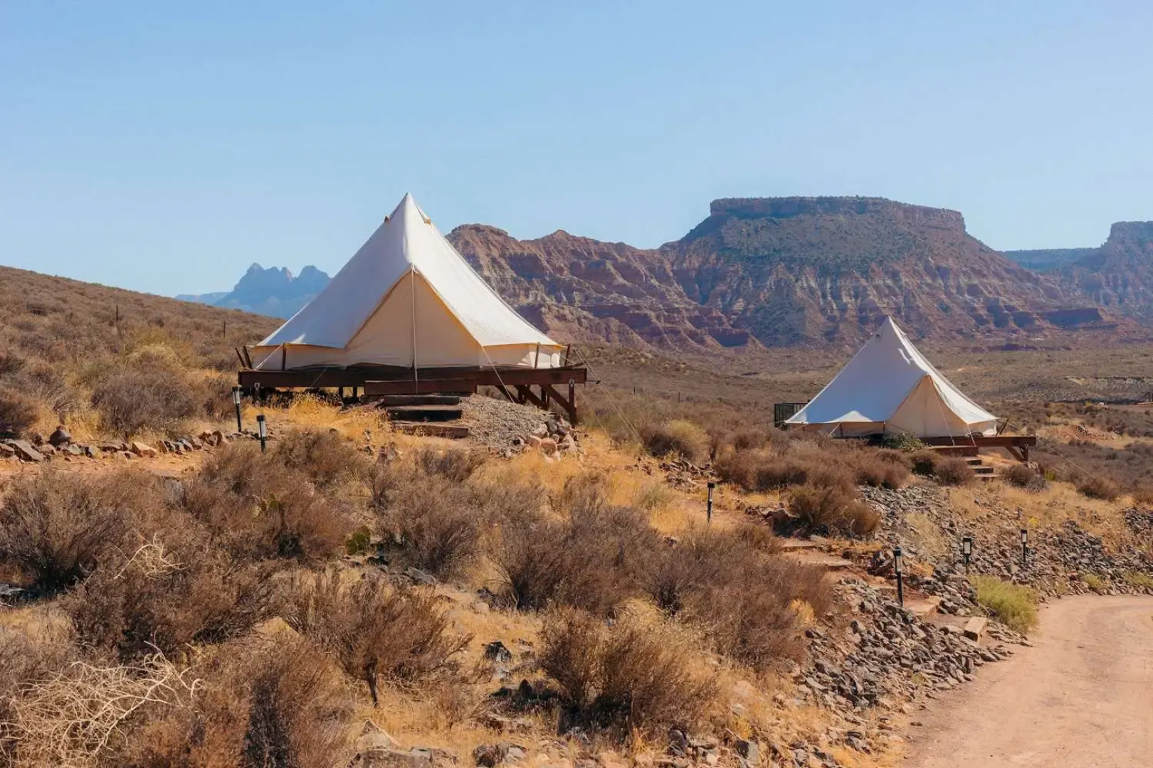 Zion Wildflower, BW Premier Collection