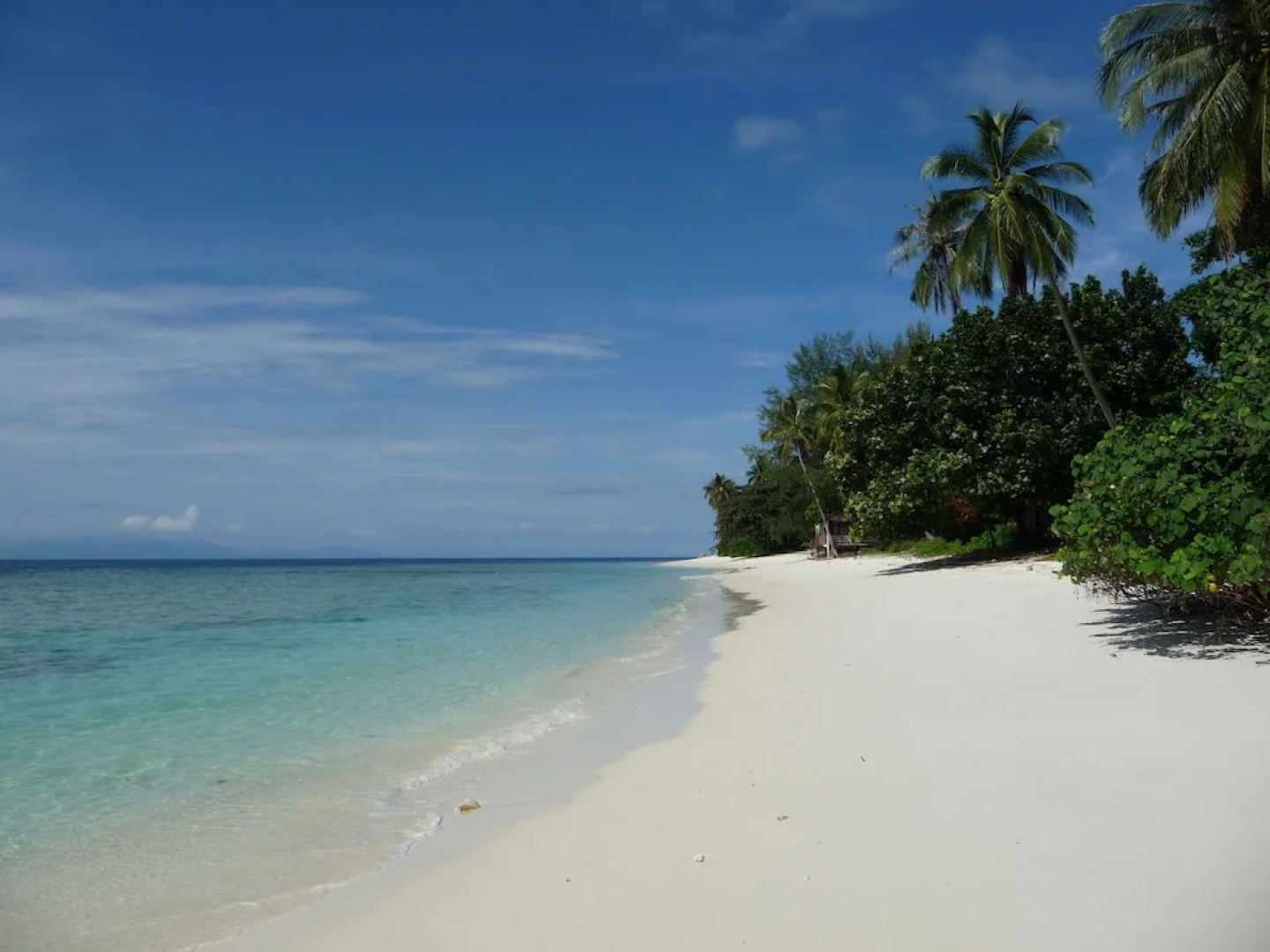Dcoconut Island Resort