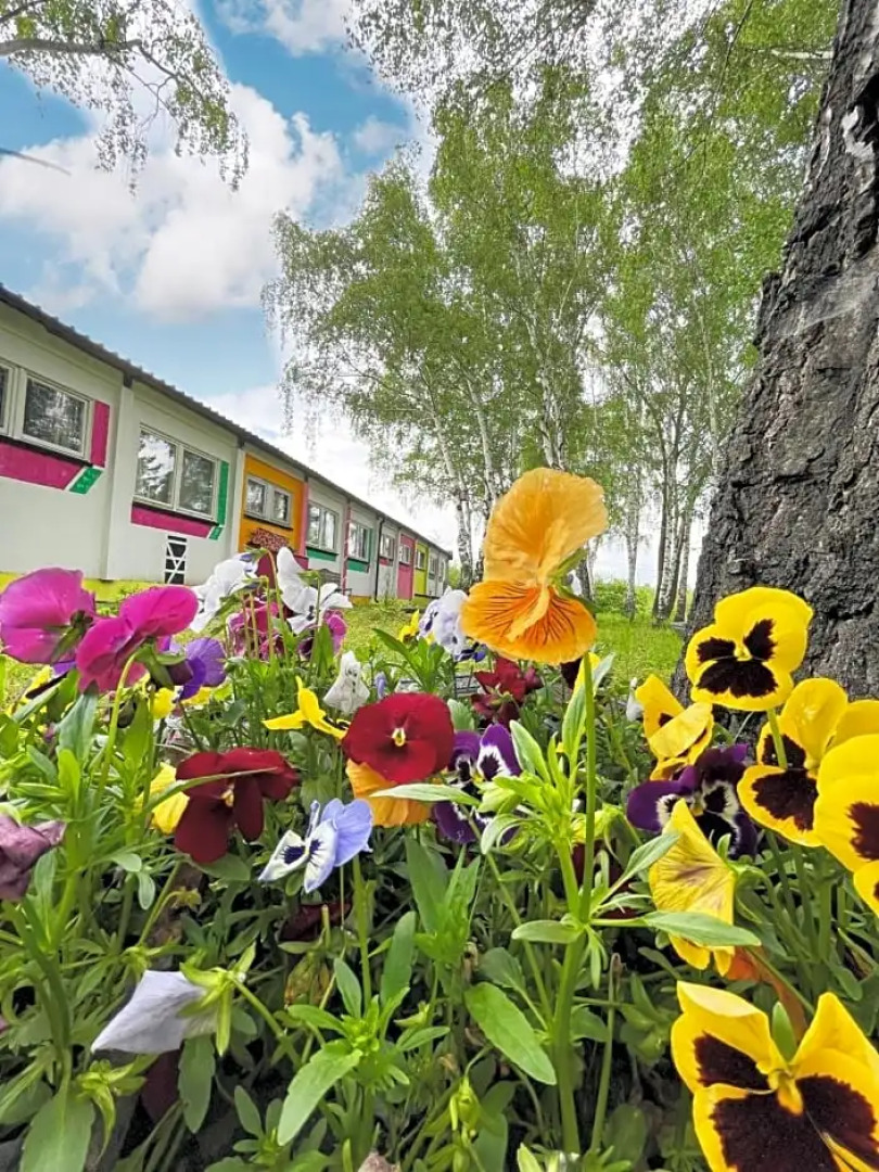 Koza i Brzoza, domki z kontenerów