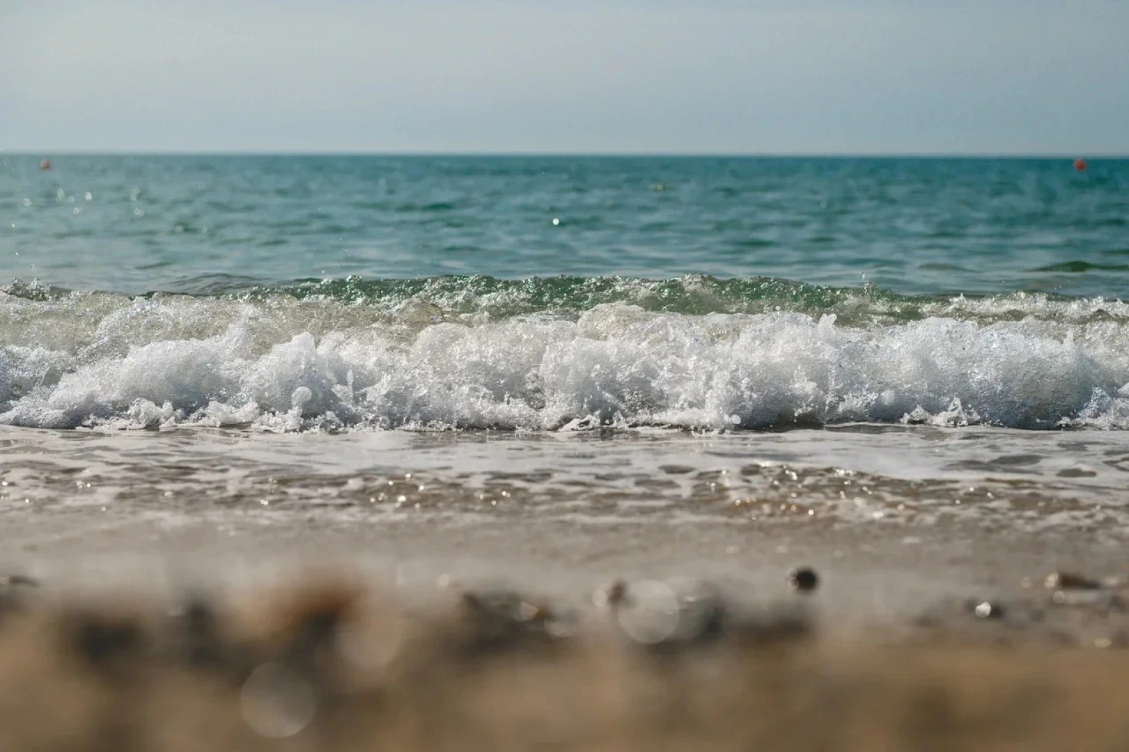 Полтава-Крым