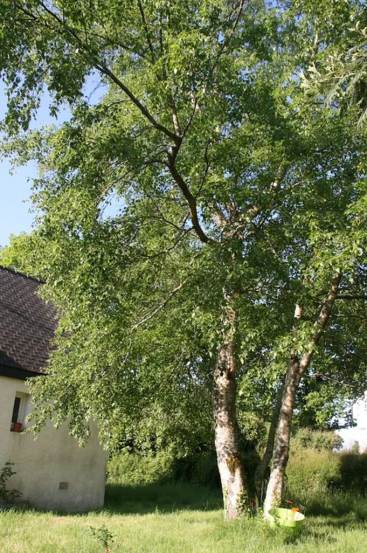 Les Charmes Bucoliques