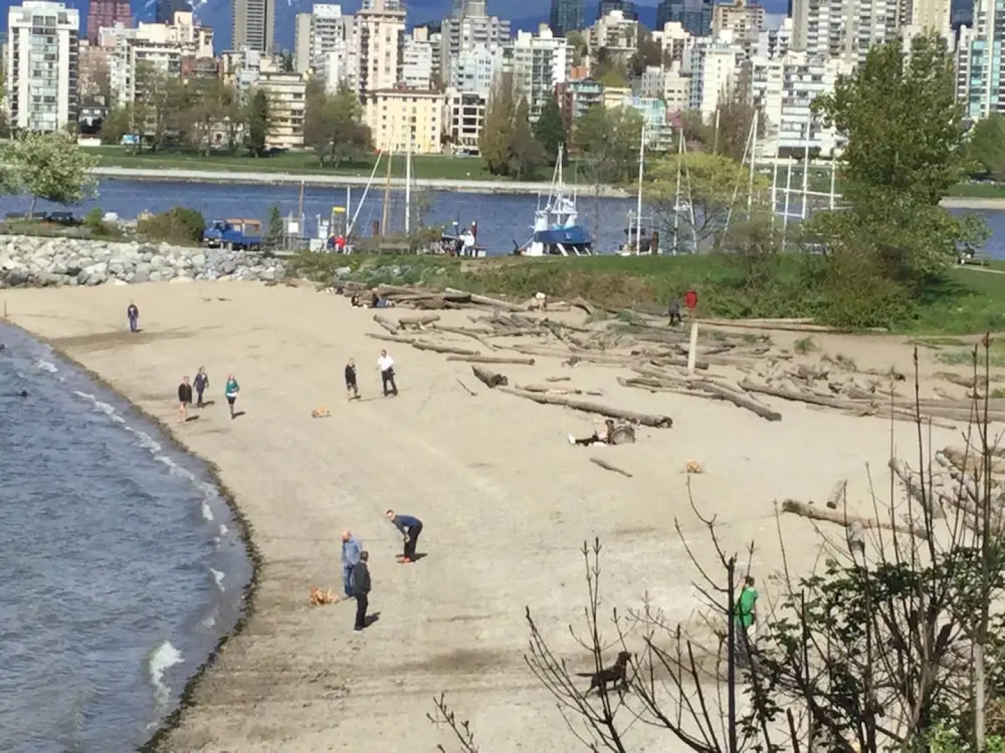 Vancouver West Luxurious House