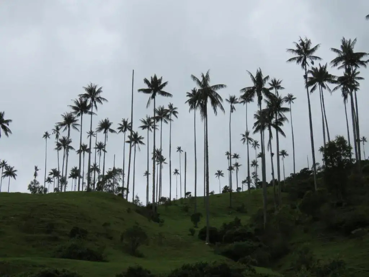 Las Marías Family Home