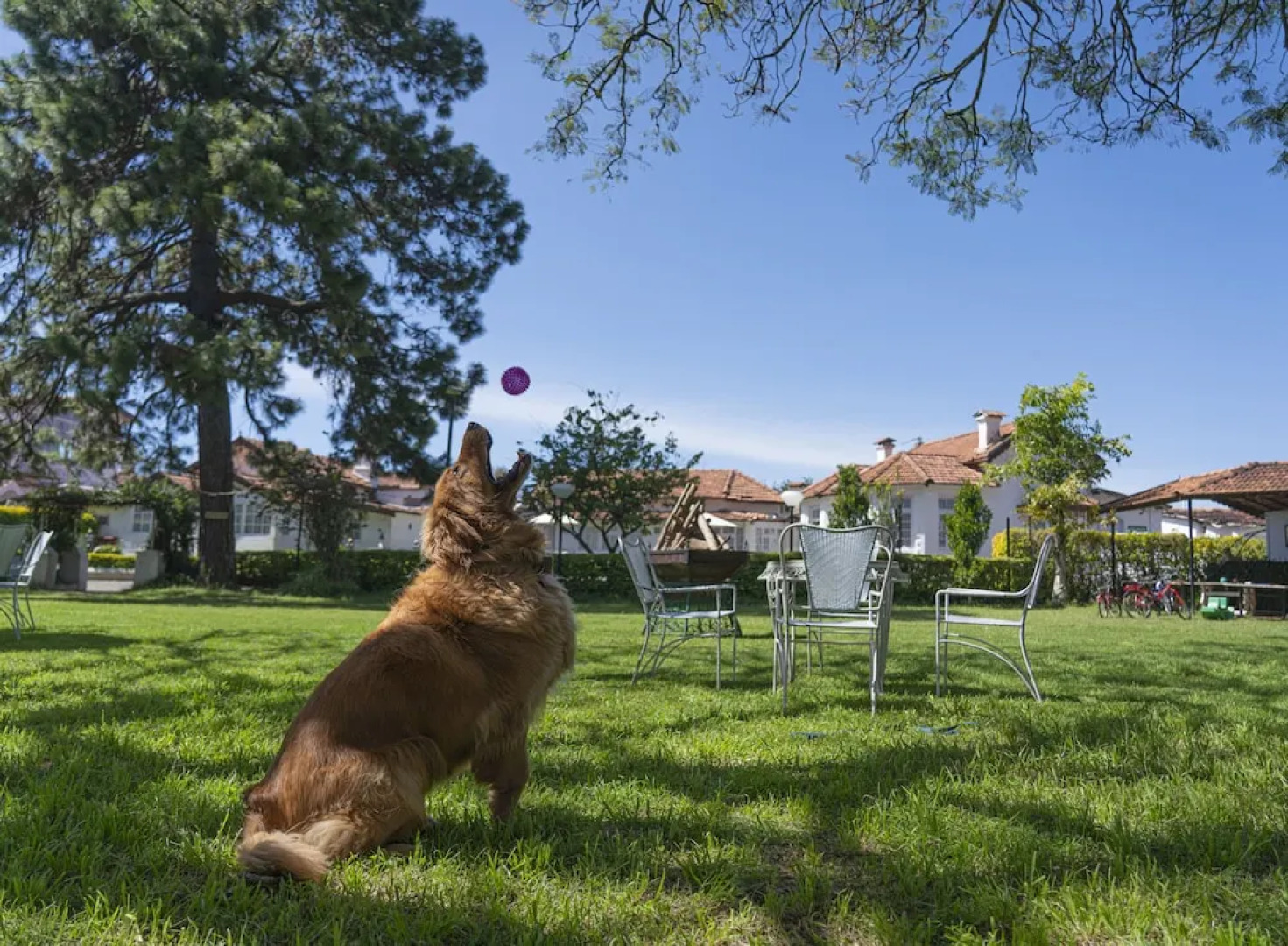 Gateway Coonoor - IHCL SeleQtions