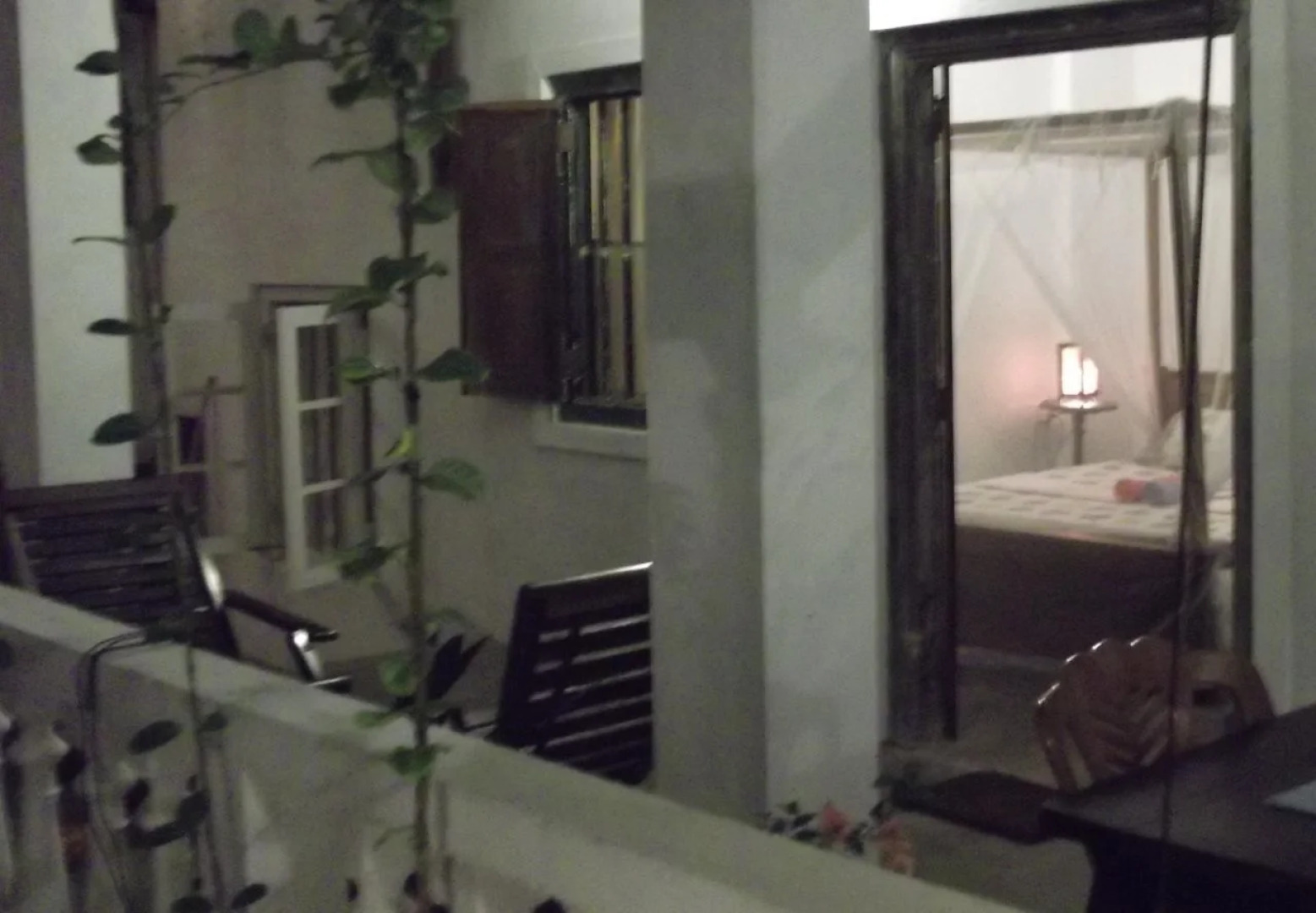 Shoba Traveller's Tree - Galle Fort