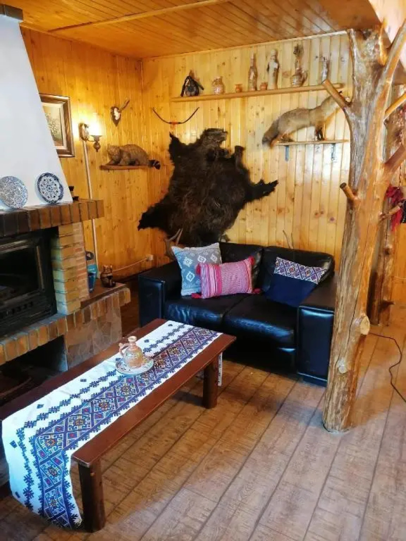 Vila Maria Rustic Predeal