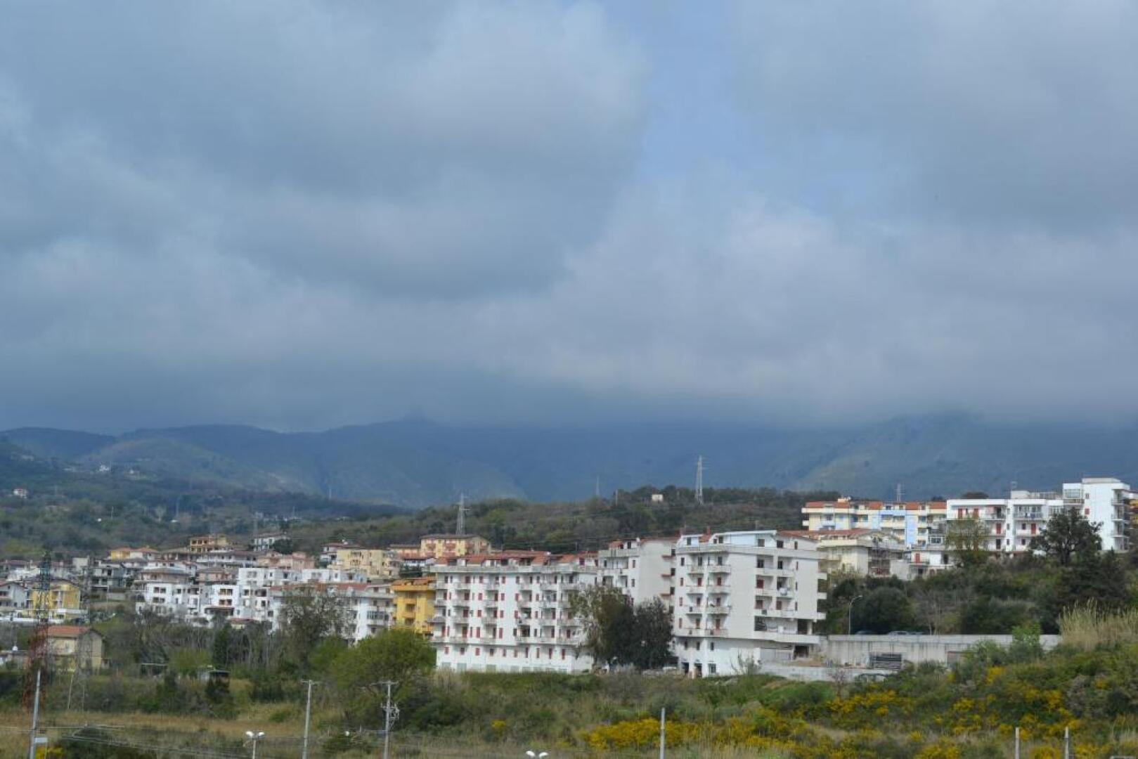 Mary&Kate's green house