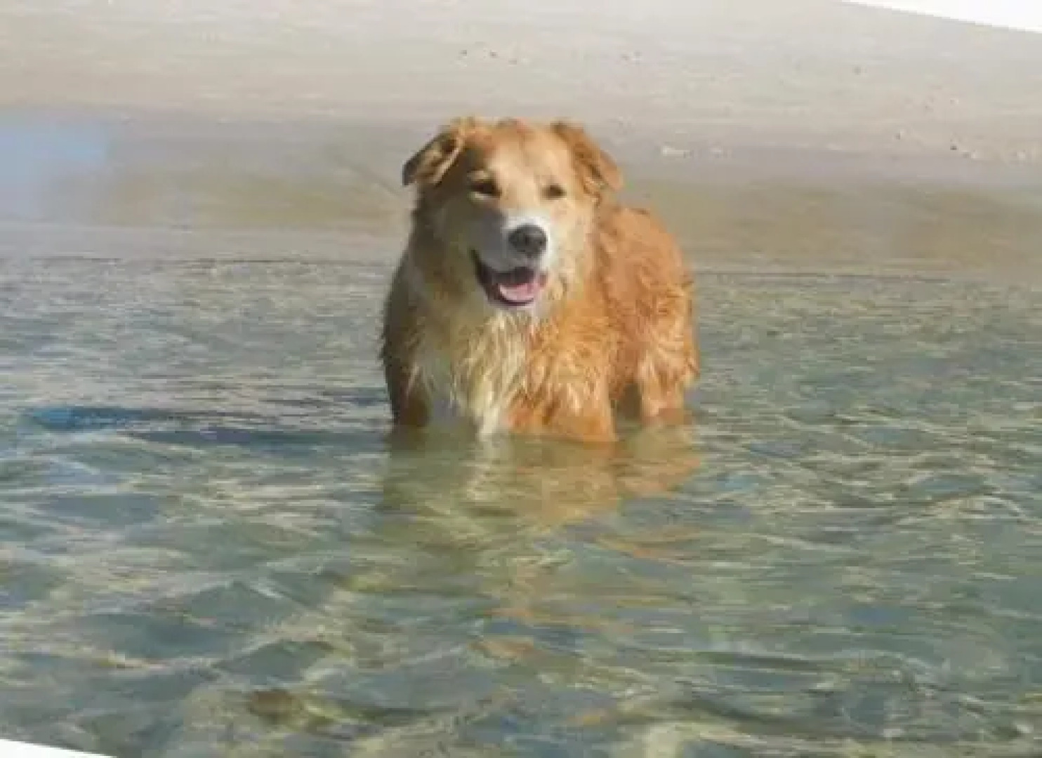 Bonito', 26 Bonito Street - Pet Friendly Housewith Aircon